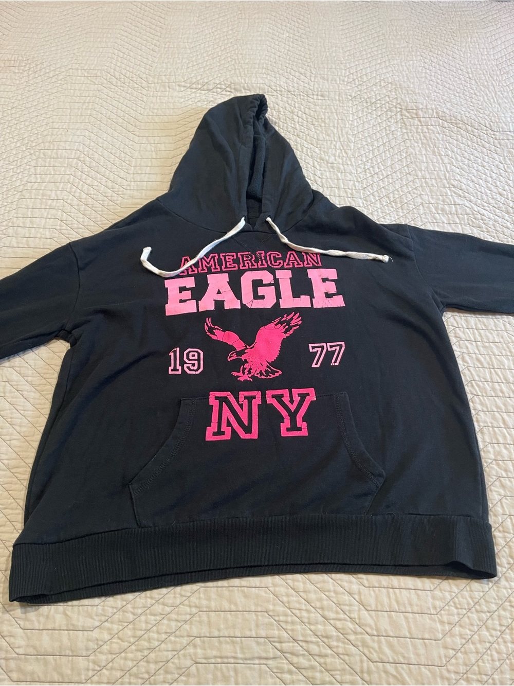 🦅 Y2K Vintage American Eagle Hoodie NY 1977